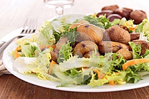 Chestnut salad photo