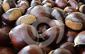 Chestnut