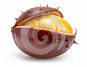 Chestnut On White Background Macro Shot