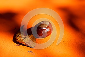 Chestnut and withered leaf on blurry orange tabletop, autumnal colors