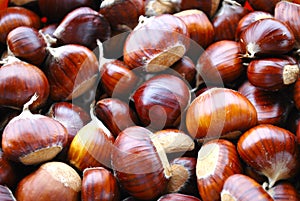 Chestnuts