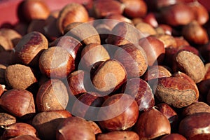 Chestnuts