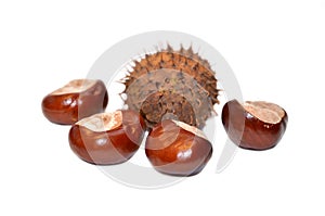 Chestnuts