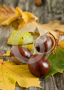 Chestnuts