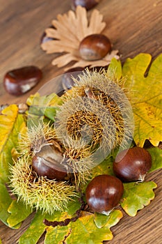 Chestnuts