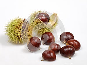 Chestnuts