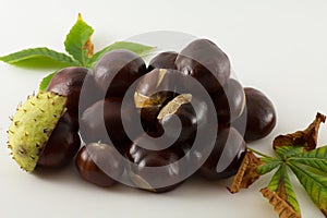 Chestnuts