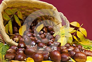 Chestnuts