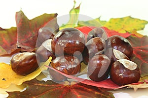 Chestnuts