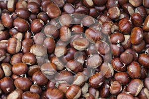 Chestnuts