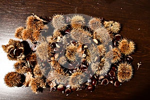 chestnuts on a background, digital photo picture as a background