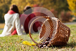 Chestnuts in the basket