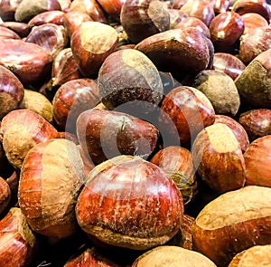 Chestnuts photo