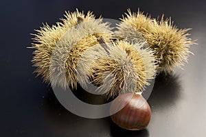 chestnuts on black background