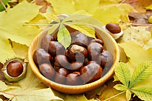 Chestnuts in bowl