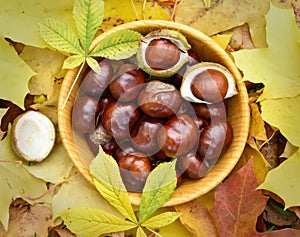 Chestnuts in bowl, autumn composition