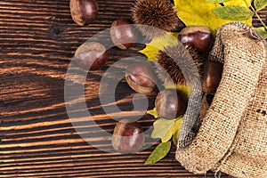 Chestnuts in burlap bag from above.