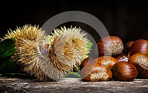 Chestnuts and chestnut bur.