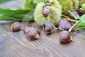 Chestnuts closeup on natural background