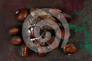 Chestnuts -Edible Autumn Fruit-ROAST FRUIT