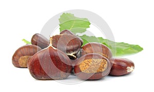 Chestnuts edible nuts on white
