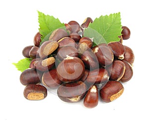 Chestnuts edible nuts on white