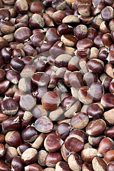 Chestnuts at farmer's market