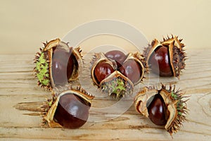 Chestnuts With Green Peel On A Wooden Board Macro