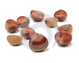 Chestnuts group