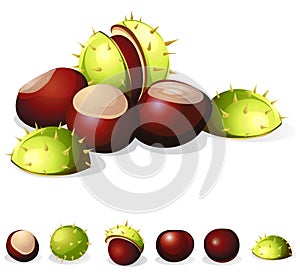 Chestnuts isolated