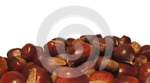 Chestnuts, isolated with white background