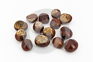 Chestnuts
