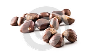 Chestnuts isolated on white background and studio shot