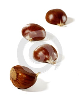 Chestnuts isolated on a white.