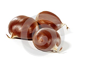 Chestnuts isolated on a white.
