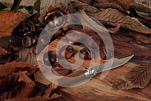 Chestnuts and leaves with knife