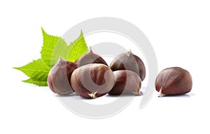 Chestnuts with leaves