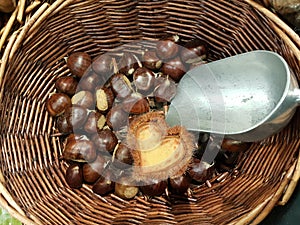 Chestnuts love heart  in the basket bailer in market place food background colors