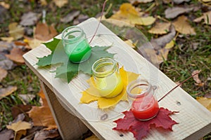 Chestnuts in multi-colored autumn leaves. Autumn time