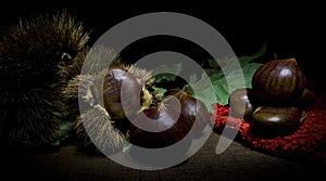 Chestnuts photographed on a dark background and floor