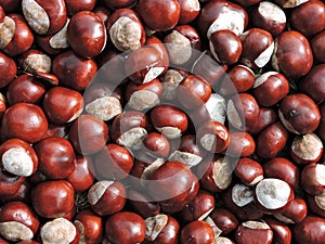 Chestnuts
