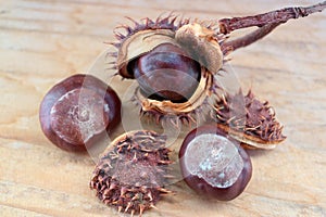 Chestnuts With Shells  On Wooden Board Macro