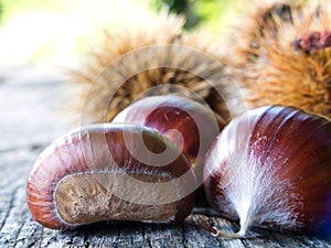 Chestnuts