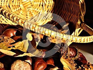 Chestnuts and wicker basket. Close-up.