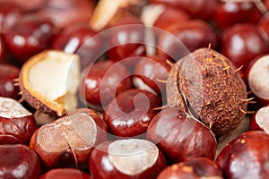 Chestnuts on a wooden table as autumn background