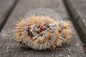 chestnuts on wooden table