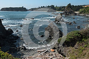 Chetco Point, Brookings, Oregon, driftwood on the beach