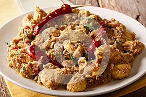 Chettinad chicken curry with dry pepper chili close-up. horizontal