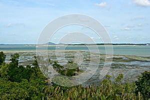 Chek Jawa wetlands - aerial view photo