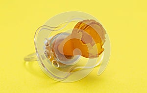 A chewed baby pacifier on a yellow background. Concept of teething in children, close-up.